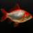luckyfish