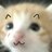 我爱你qwq