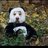 qq5632463844