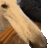 nocko