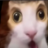 lkkii