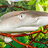 Mandarin9095