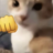 不黄不玩
