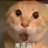 1123