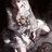 3230659580