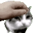 Miyabi